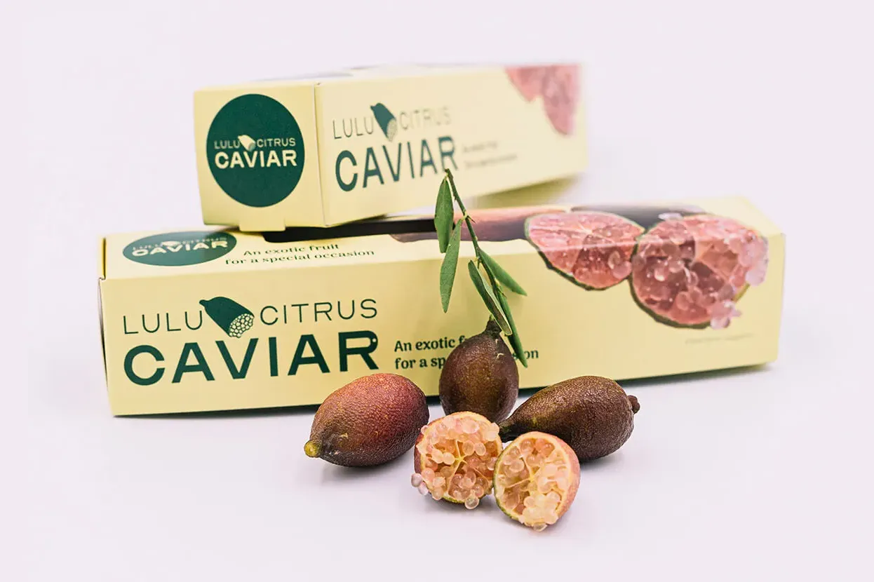 Produtos